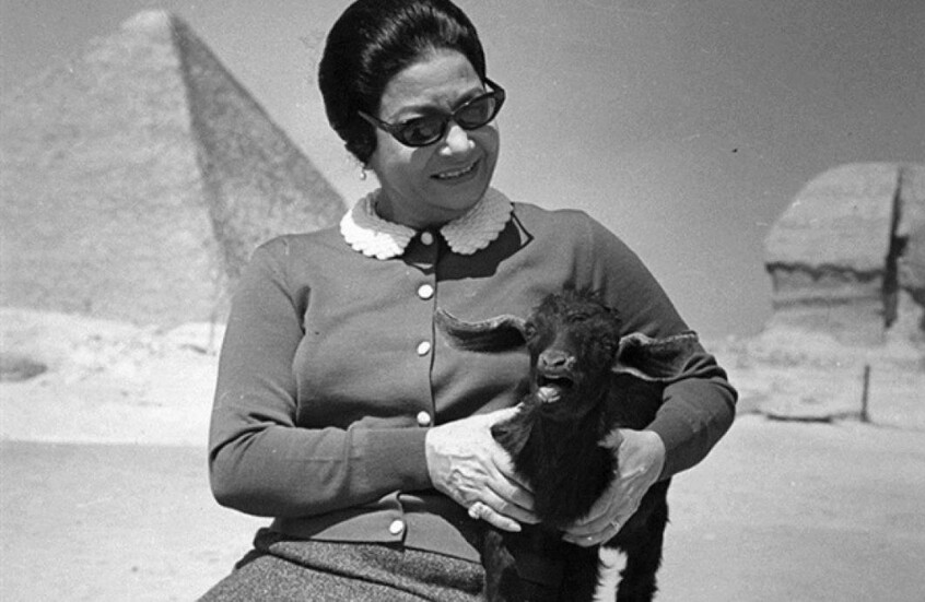 مصر.. "كيف لإسرائيل أن تدعي حب من عادتها جهارا"؟