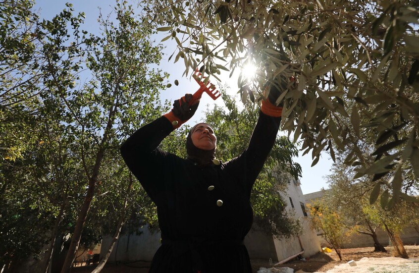 الأمم المتحدة تعتمد مشروع قرار حول السيادة الدائمة للشعب الفلسطيني على موارده الطبيعية