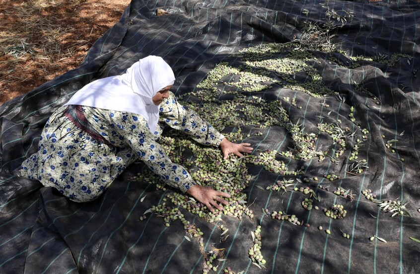 الجيش الإسرائيلي يوقف نشطاء يساريين متضامنين مع الفلسطينيين في بورين