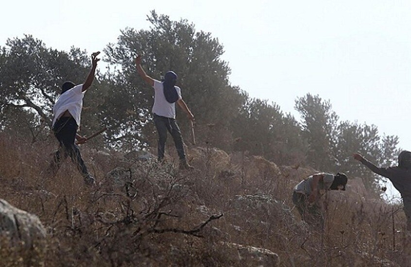 بيان سعودي عن واقعة حرق مسجد الحاجة حميدة