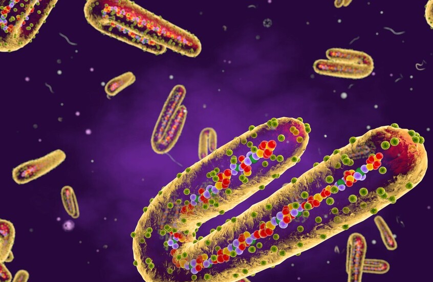 إثيوبيا تعلن تفشي وباء "ماربورغ" جنوب البلاد