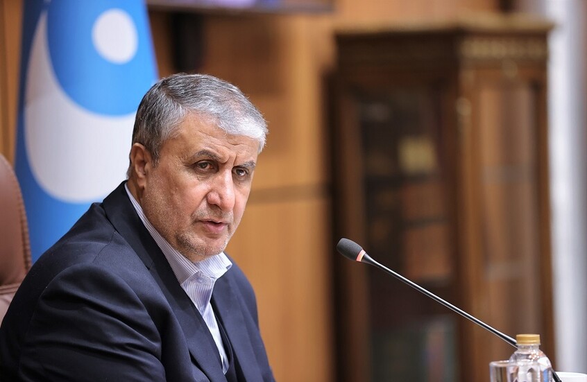 إسلامي مشككا بمصداقية الوكالة الدولية للطاقة الذرية: كان يجب أن يزور مفتشوها المنشآت صباح يوم الهجوم