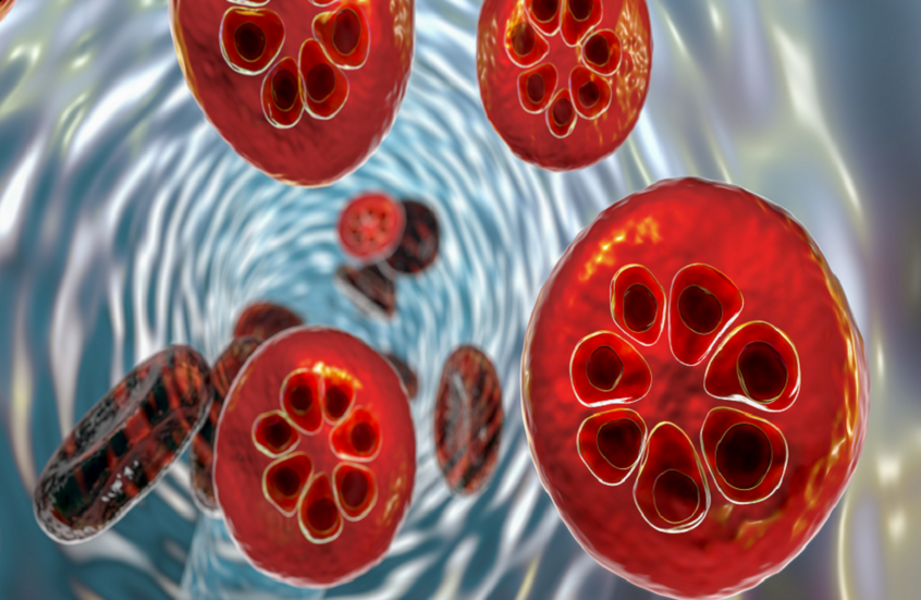 بعد عقود من الجمود.. علاج جديد للملاريا يبشّر باختراق كبير في مقاومة المرض