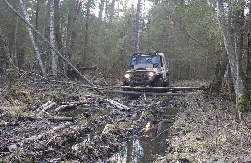 فنلندا تدرس إمكانية استخدام المستنقعات على حدودها مع روسيا لتكون حاجزا دفاعيا أمام أي "هجوم محتمل"