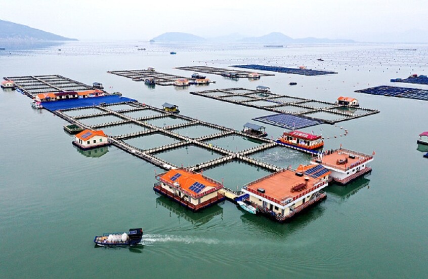 خبير اقتصادي عراقي يتحدث عن عرض ضخم قدمته الصين للعراق