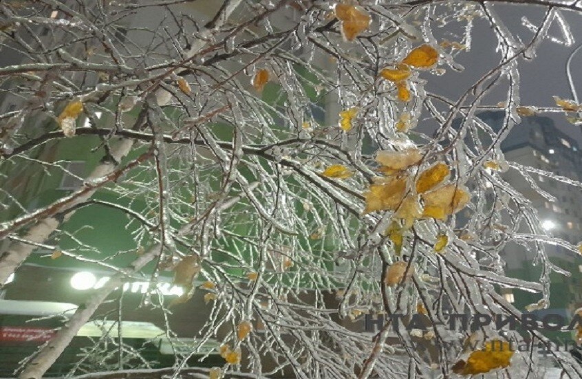 إعلان الإنذار البرتقالي في موسكو بسبب أمطار جليدية (فيديو)