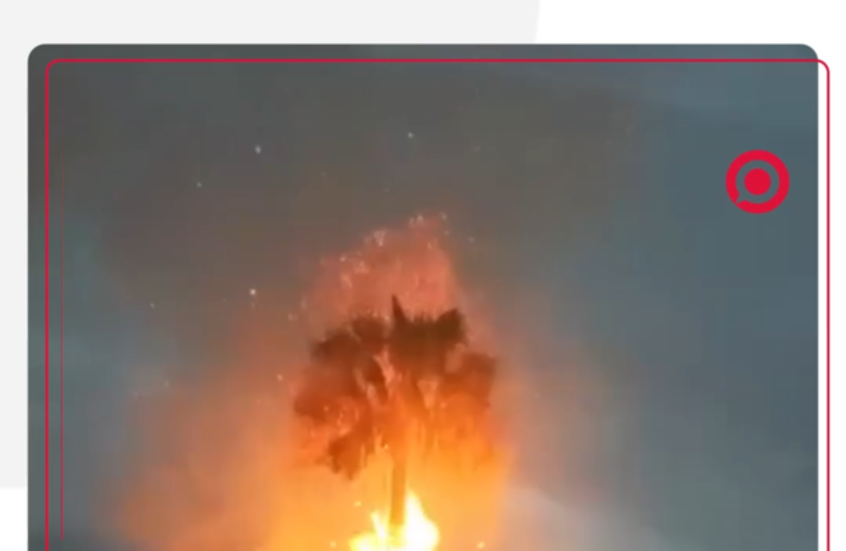 لحظة مرعبة.. صاعقة برق تضرب شجرة عملاقة في طبريا وتشعلها نارا