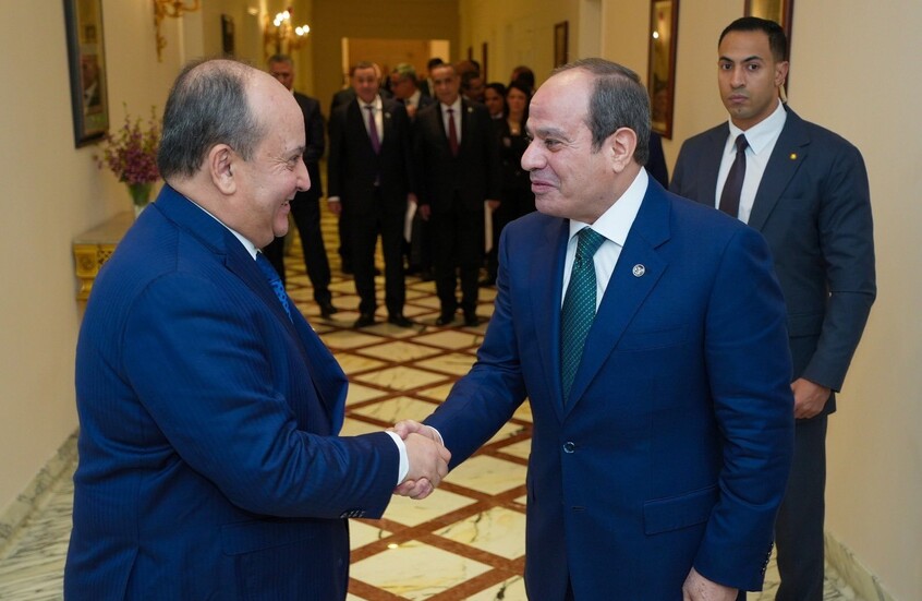 مصر تعرب عن تقديرها لدور الجزائر في مجلس الأمن دفاعا عن القضايا العربية