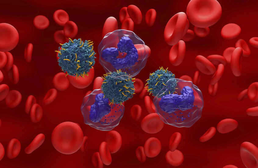 مركب طبيعي واعد يفتح آفاقا لعلاج أحد أخطر أنواع سرطان الدم