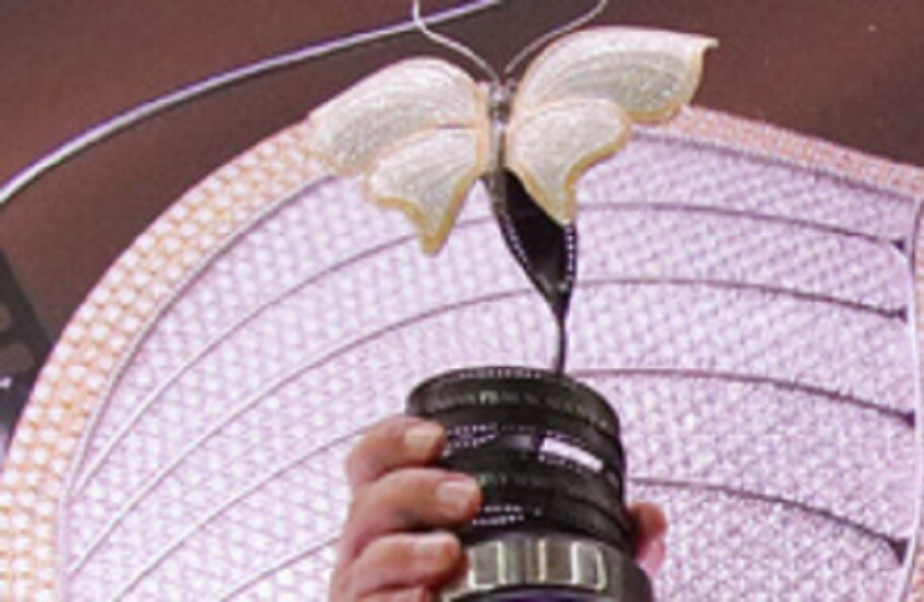 مليون دولار وماسة من ياقوتيا.. موسكو تتوج نجوم السينما الأوراسية في حدث فريد (فيديو)