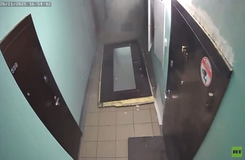 نوفوسيبيرسك.. كلب يسبب انفجارا داخل شقة بإشعاله موقدا يحتوي على علبة من المبيد الحشري