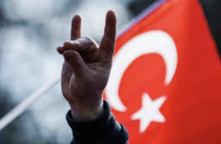 تركيا.. "الذئاب الرمادية" تنتقد التصالح مع حزب العمال الكردستاني وتهاجم أوجلان