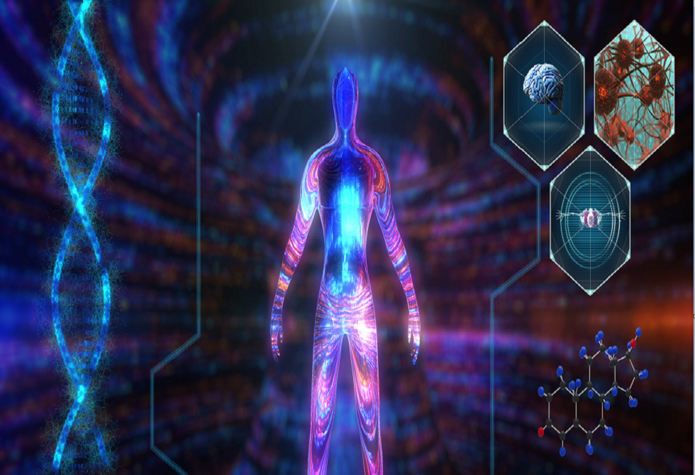 علاقة مفاجئة بين "جين السرعة" واستجابة العضلات لهرمون الذكورة