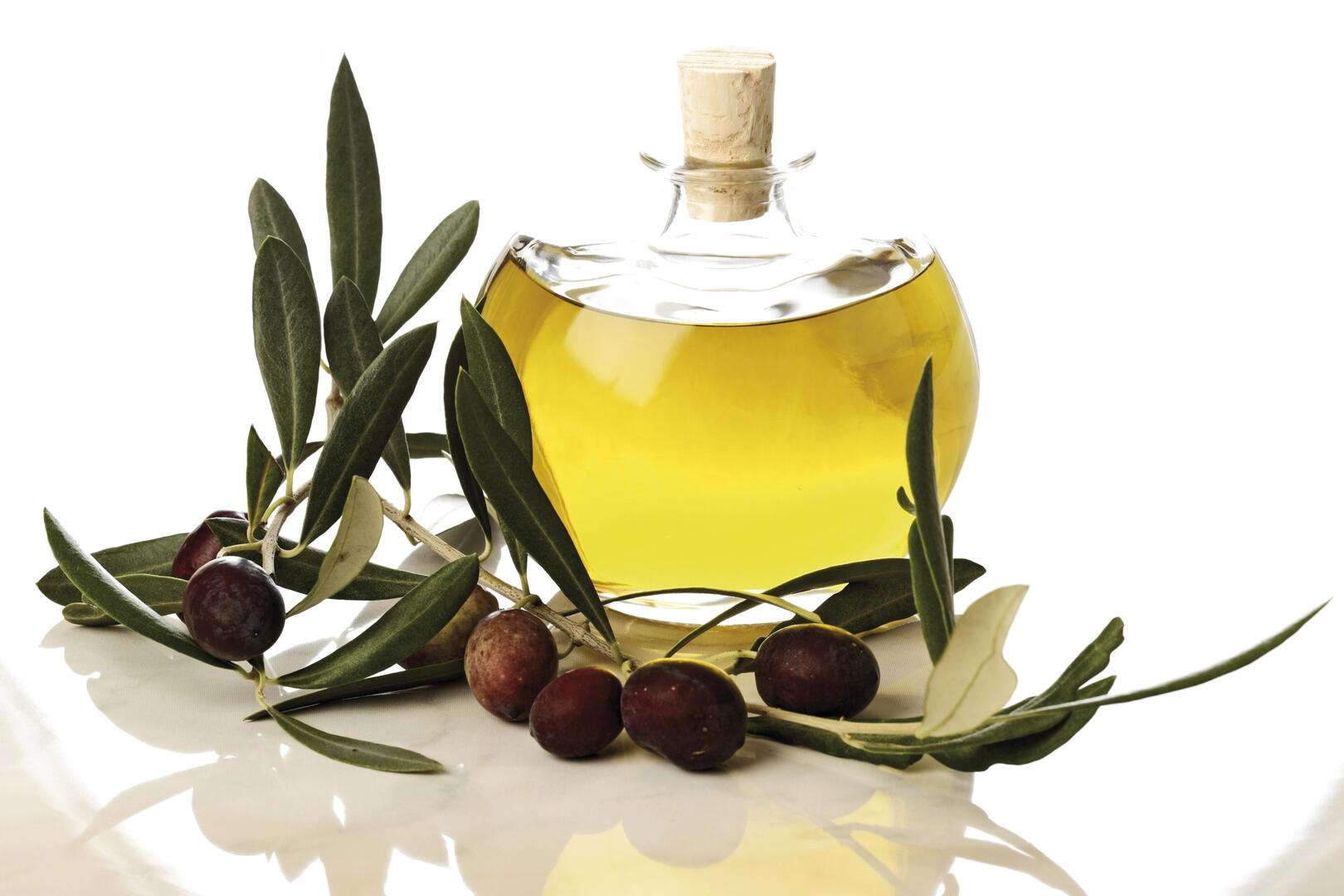 دراسة تكشف فائدة زيت الزيتون في الوقاية من السمنة والتهابات الدماغ