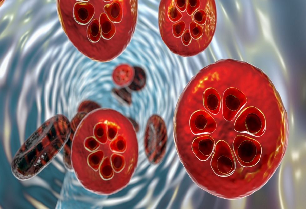 بعد عقود من الجمود.. علاج جديد للملاريا يبشّر باختراق كبير في مقاومة المرض
