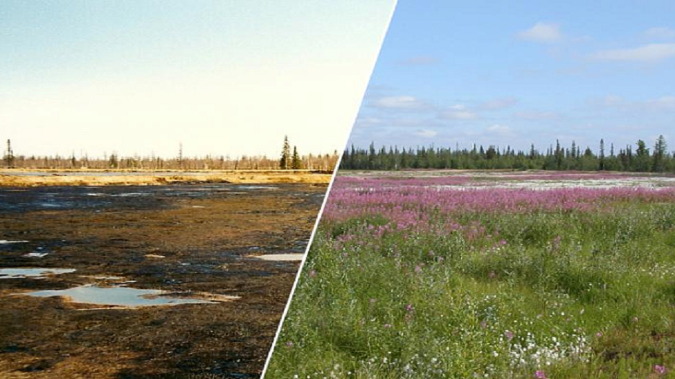 علماء روس يبتكرون طريقة سريعة وصديقة للبيئة لاستصلاح الأراضي الملوثة