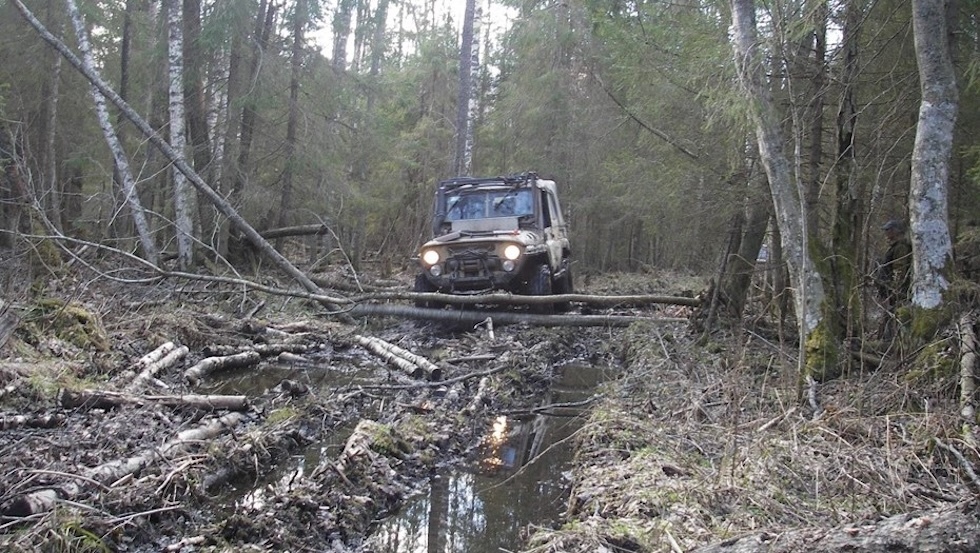 فنلندا تدرس إمكانية استخدام المستنقعات على حدودها مع روسيا لتكون حاجزا دفاعيا أمام أي "هجوم محتمل"