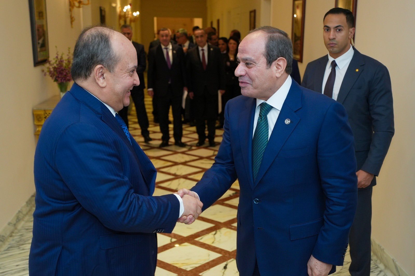 مصر تعرب عن تقديرها لدور الجزائر في مجلس الأمن دفاعا عن القضايا العربية