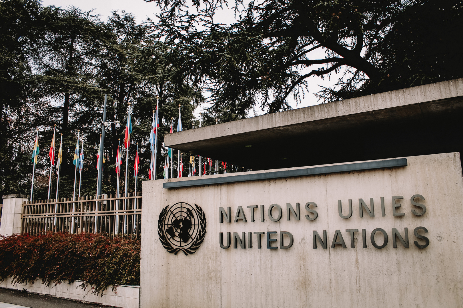 الأمم المتحدة تبدأ عملية اختيار خليفة غوتيريش وتحث الدول الأعضاء على ترشيح نساء