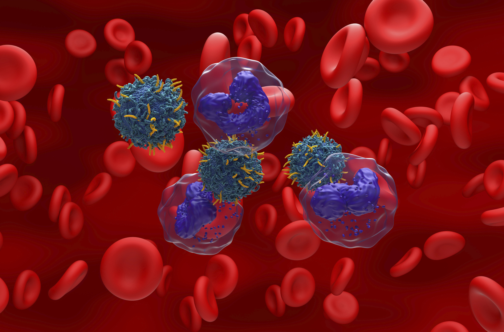 مركب طبيعي واعد يفتح آفاقا لعلاج أحد أخطر أنواع سرطان الدم