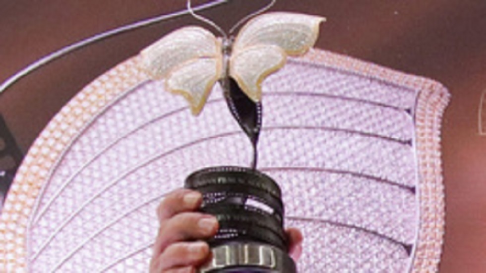 مليون دولار وماسة من ياقوتيا.. موسكو تتوج نجوم السينما الأوراسية في حدث فريد (فيديو)