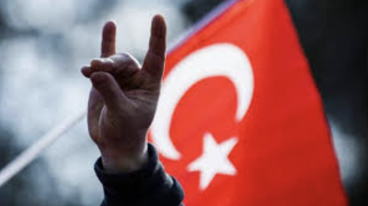 تركيا.. "الذئاب الرمادية" تنتقد التصالح مع حزب العمال الكردستاني وتهاجم أوجلان