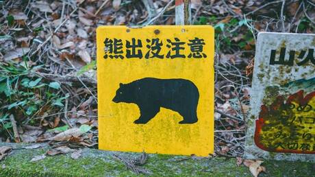 اليابان تنشر قوات عسكرية للتعامل مع هجمات الدببة (فيديو)