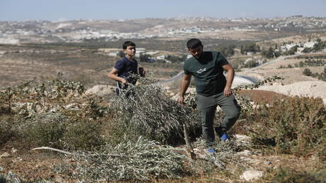  حماس: إسرائيل تستمر بمحاولاتها لتهويد مدينة الخليل وطمس هويتها