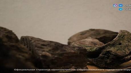 العثور على بقايا وحيد القرن الصوفي المنقرض في بيلغورود الروسية