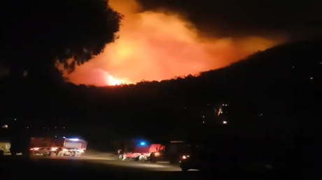 حرائق غابات ضخمة تهدد حياة سكان ولاية جزائرية وتحرك عاجل من السلطات (فيديو)