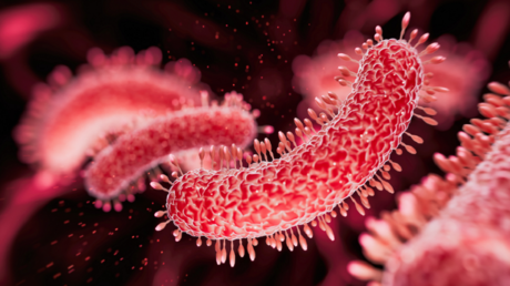 العلم يحسم الجدل حول علاقة ميكروبيوم الأمعاء بالتوحد