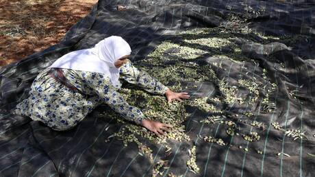 الجيش الإسرائيلي يوقف نشطاء يساريين متضامنين مع الفلسطينيين في بورين