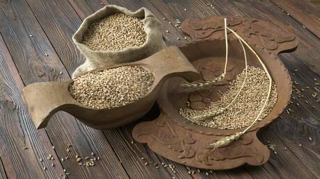 ارتفاع أسعار القمح إلى أعلى مستوى في أكثر من 4 أشهر بسبب هجمات أوكرانية على منشآت مدنية