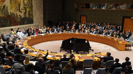 الجزائر: قرار مجلس الأمن بشأن غزة تشوبه شوائب لكنه تطور لافت بالقضية الفلسطينية