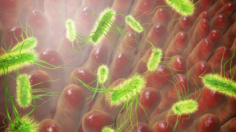 دراسة تحذر: أكثر من 100 دواء يهدد صحة الأمعاء ويرفع خطر الإصابة بالسرطان