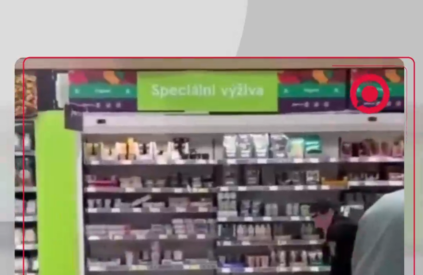 خنزير بري يقتحم سوبرماركت في التشيك