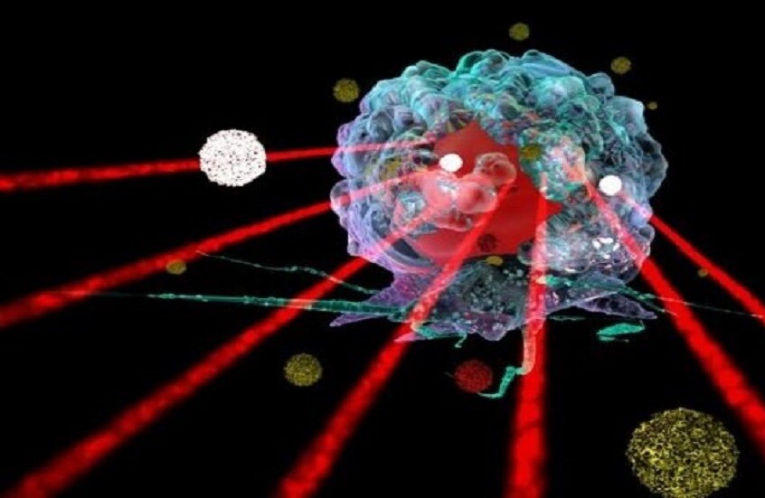 تأثير الموجات فوق الصوتية على السلوك والمزاج