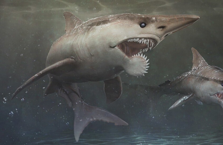 اكتشاف أثري بحري.. شوكة قرش ضخم من العصر الديفوني تُعرض في سيبيريا