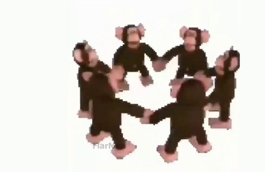 العلماء يكتشفون قدرة قرود المكاك على اتباع إيقاع الموسيقى مثل البشر