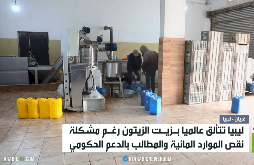 زيت الزيتون الليبي.. جودة نادرة