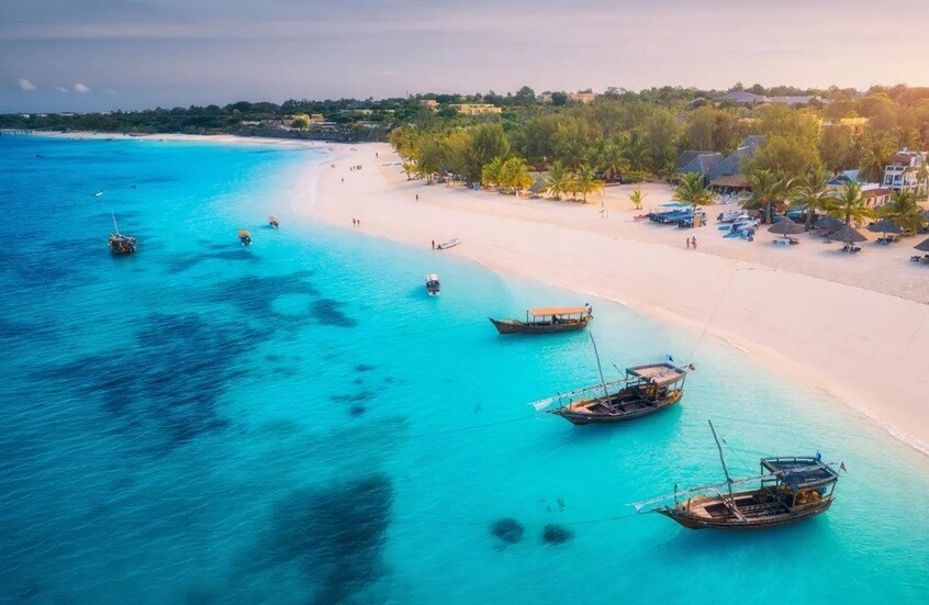 وداع إفريقيا في "أقصر حرب في التاريخ"!