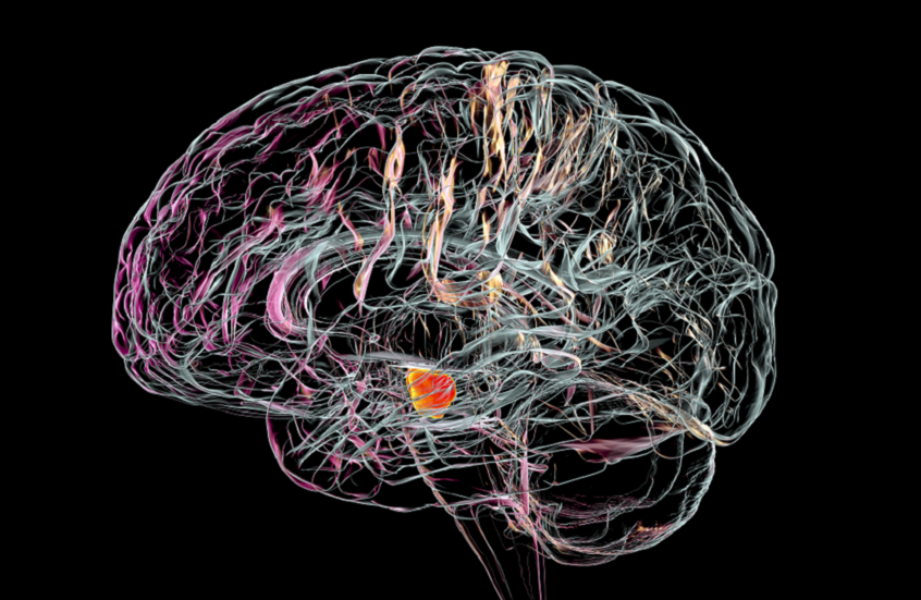 تجربة علاجية صينية تعيد الأمل لمرضى باركنسون حول العالم