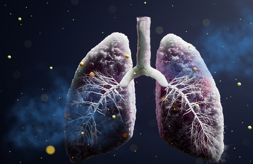 سر قدرة بكتيريا السل على البقاء