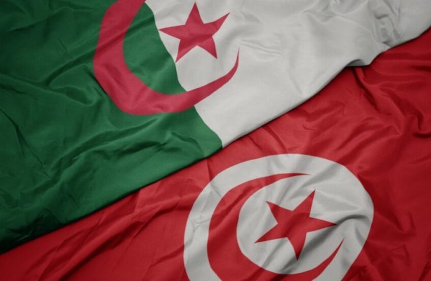 عشية انعقاد اللجنة المشتركة بين البلدين.. قيس سعيّد يستقبل رئيس الحكومة الجزائرية