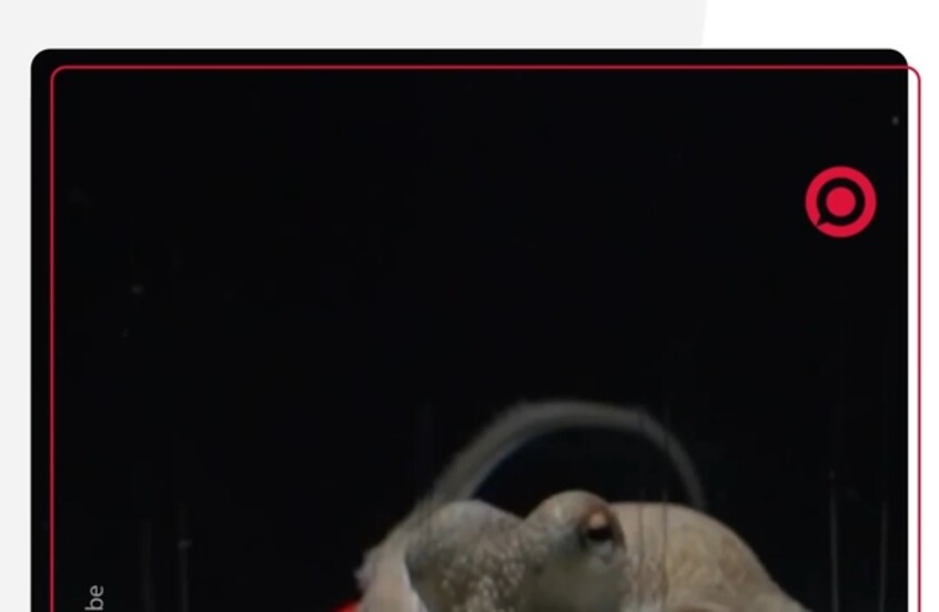 عازف سويدي يدرّب أخطبوطا على عزف البيانو بعد ستة أشهر من العمل المتواصل