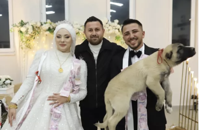 هدية غير تقليدية في حفل زفاف تركي