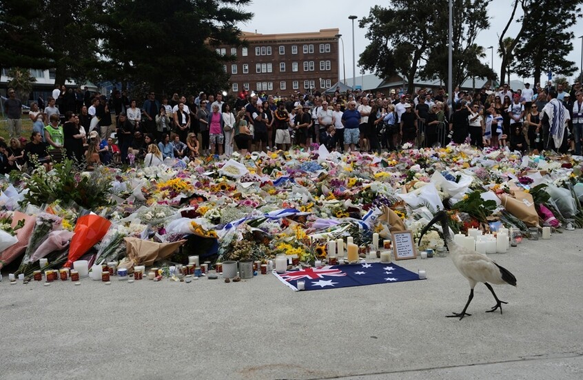 باكستان: "دول معادية" وراء مزاعم خاطئة تربط البلاد بحادث إطلاق النار في أستراليا