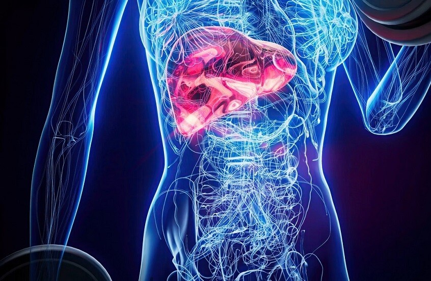 دراسة روسية.. كيف يؤثر تليف الكبد على أمراض القلب؟