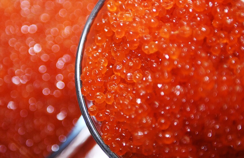 ويتكوف يحمل لترامب من روسيا صندوقا من الكافيار