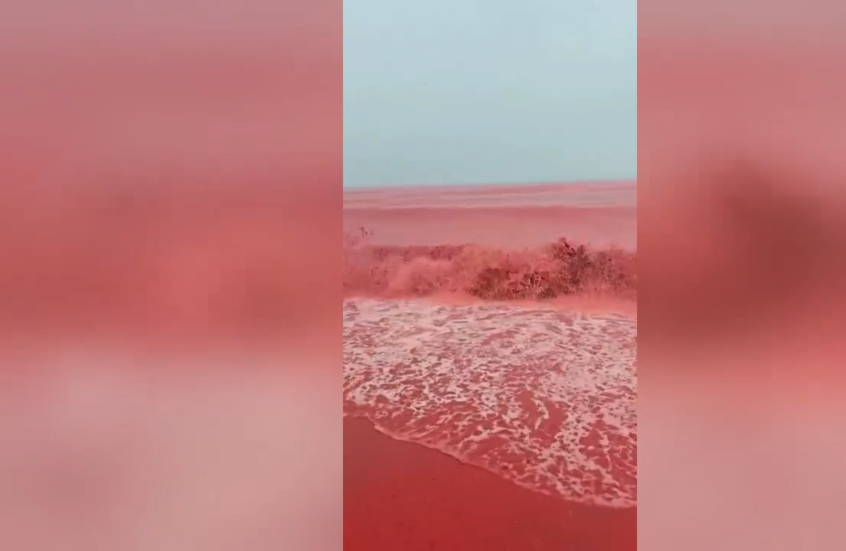 شاهد.. ساحل هرمز الإيراني يتحول إلى اللون الدموي في الليل